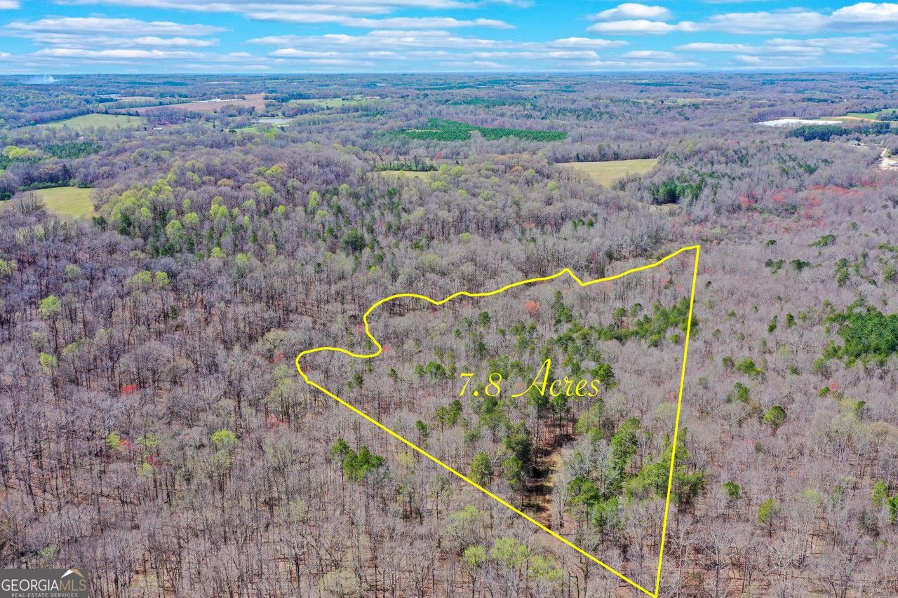 Lavonia, Hart County, GA Undeveloped Land, Lakefront Property