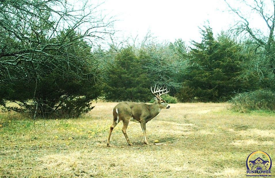 Quenemo, Osage County, KS Undeveloped Land for sale Property ID