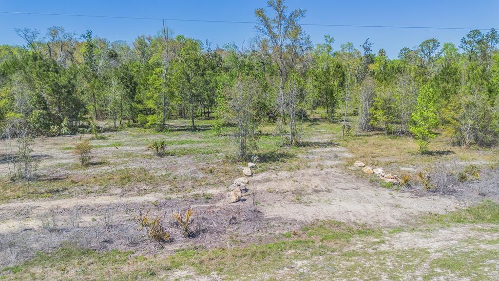 Jena, Dixie County, FL Undeveloped Land, Homesites for sale Property ID