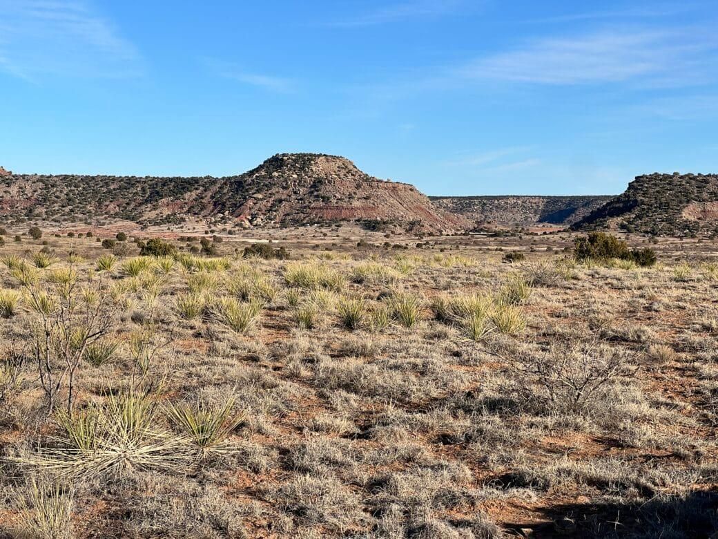 Conchas, San Miguel County, NM Recreational Property for sale Property