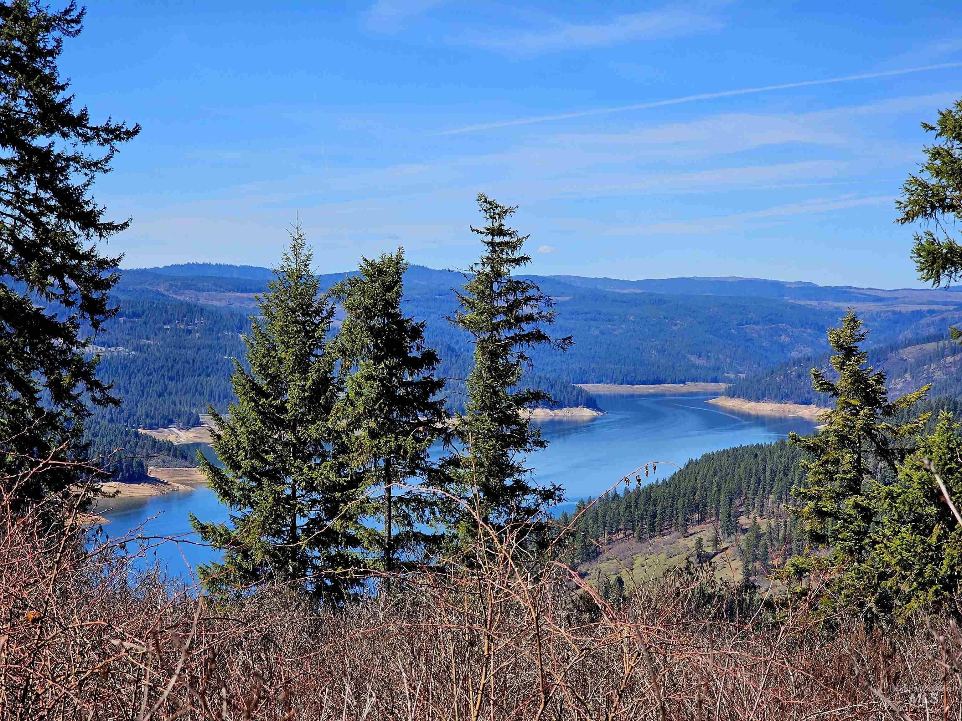 Orofino, Clearwater County, ID Undeveloped Land for sale Property ID 419140830 LandWatch