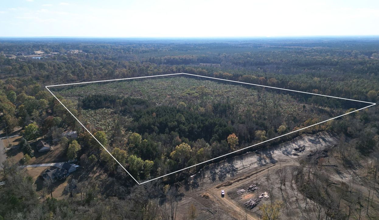 Starkville, Oktibbeha County, MS Timberland Property, Undeveloped Land for sale Property ID