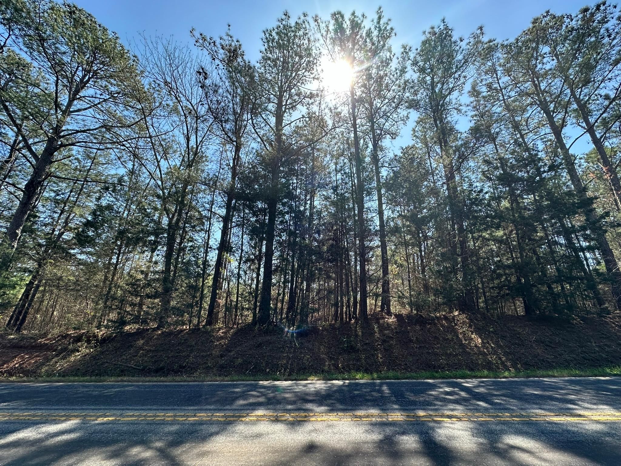 0 SC Highway 823, Mount Carmel, SC 29840 MLS 526935 LandWatch