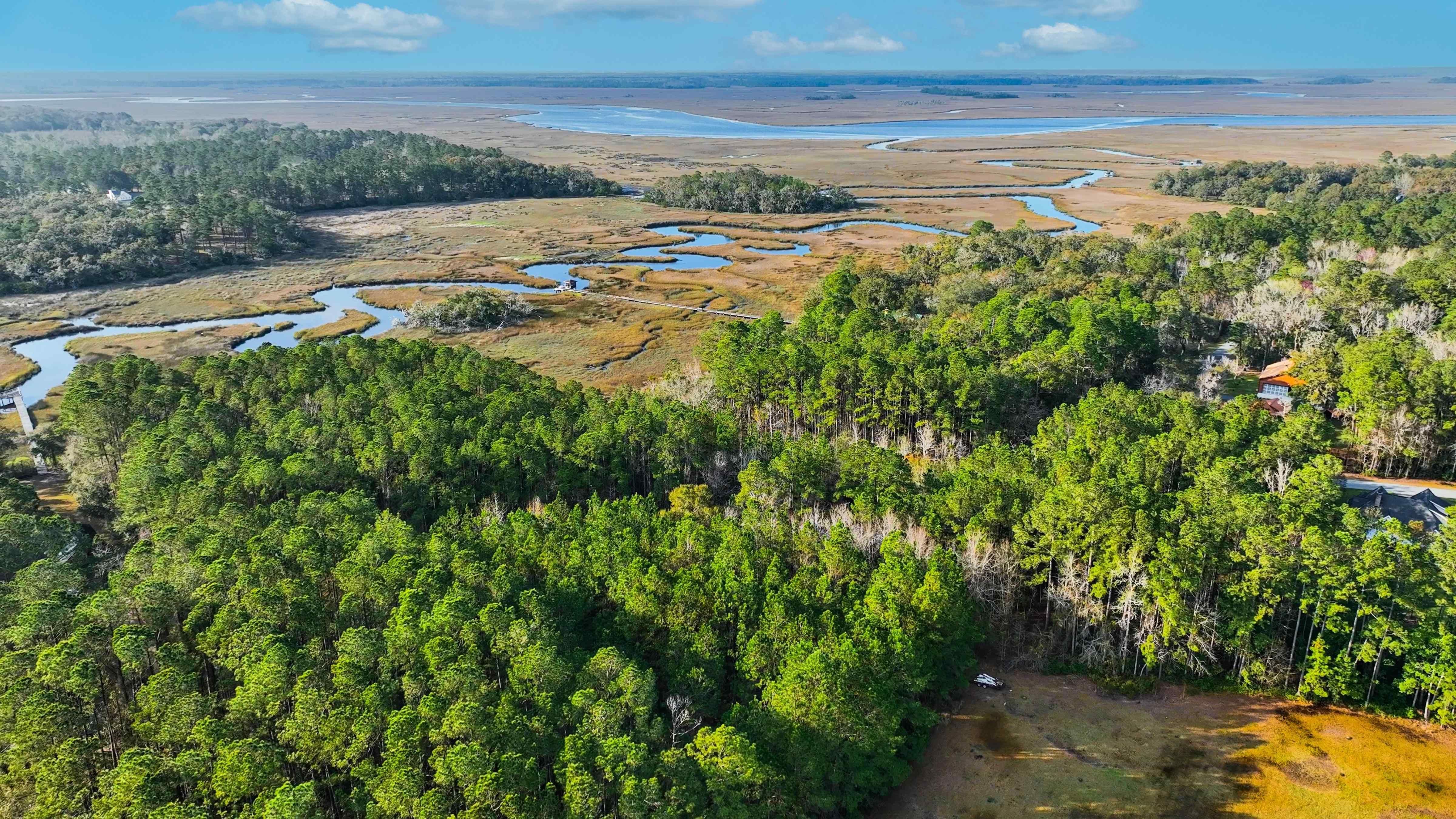 Townsend, McIntosh County, GA Undeveloped Land, Homesites for sale