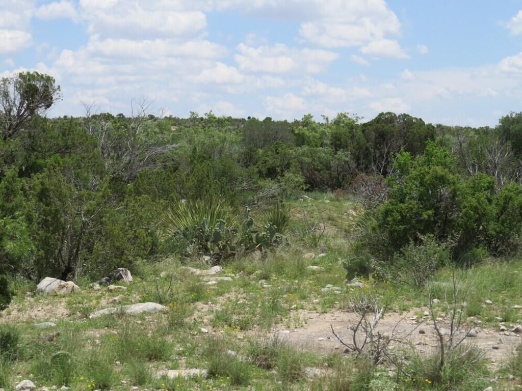 135.22 acres in Sheffield, TX, 79781 LandWatch