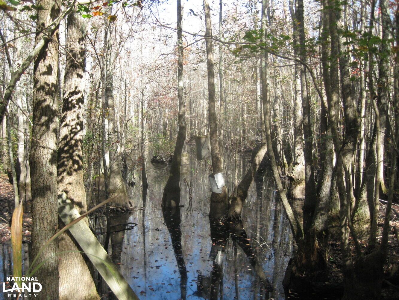 Fronting I95 and Little Pee Dee River, Dillon, SC 29536 LandWatch