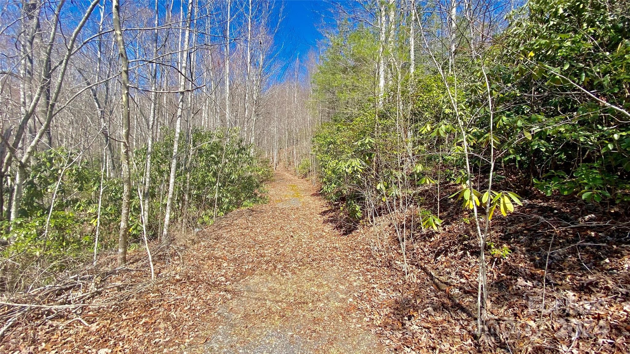 Old Fort, McDowell County, NC Undeveloped Land for sale Property ID