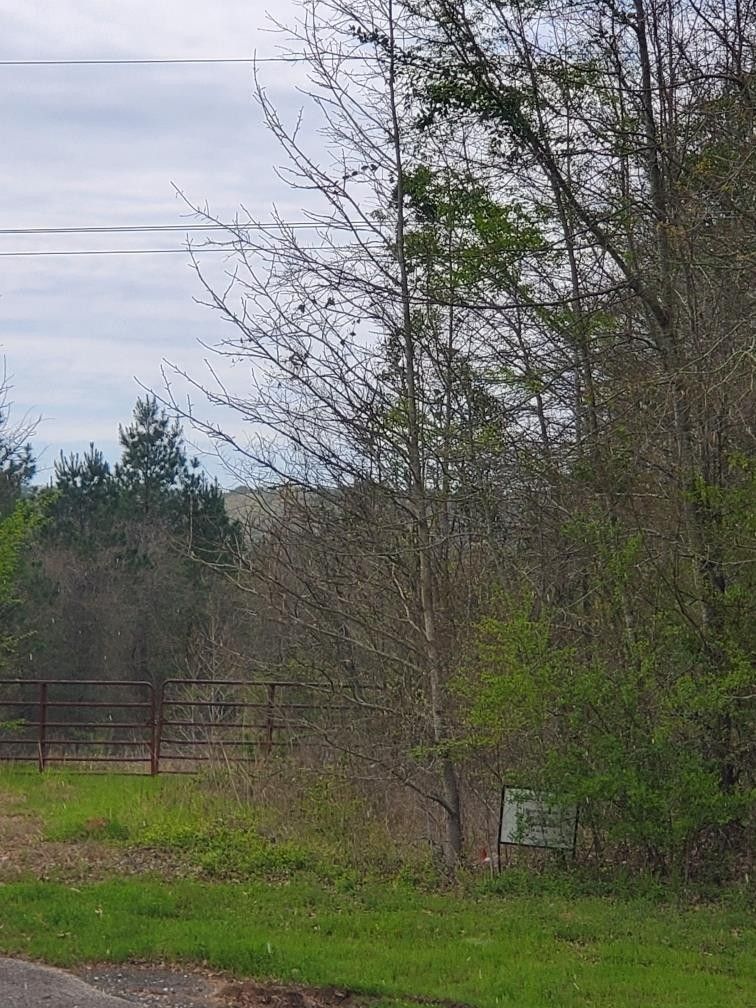 N/A N FM 95, Garrison, TX 75946 MLS 22400377 LandWatch