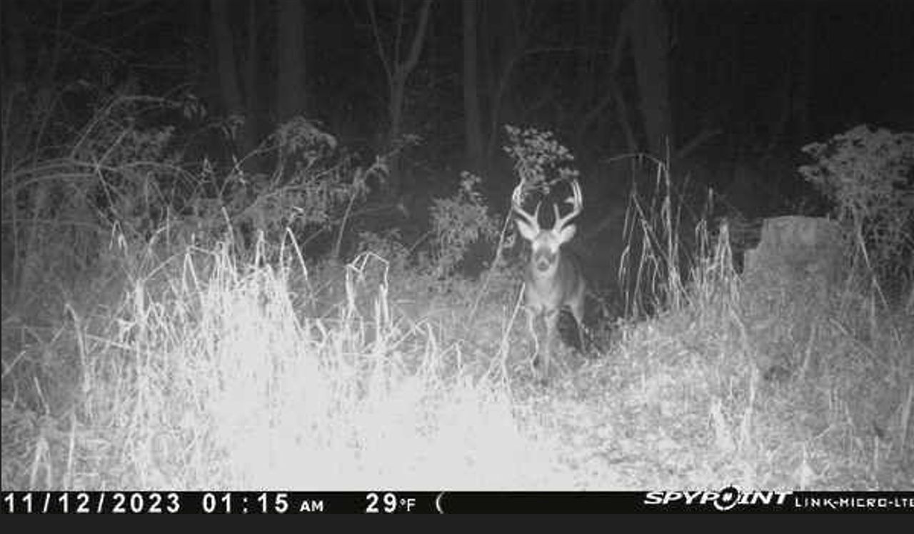 Velpen, Pike County, IN Recreational Property, Hunting Property for