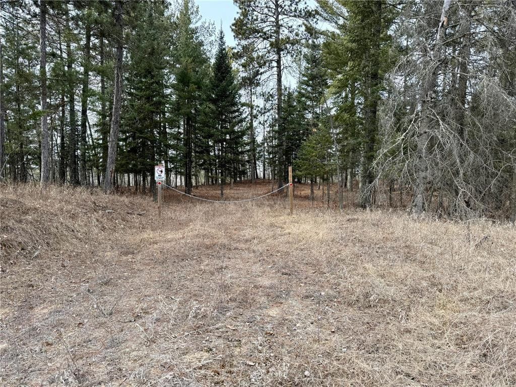 Walker, Cass County, MN Undeveloped Land, Lakefront Property