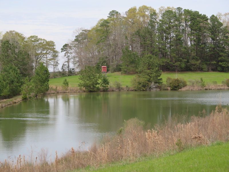 1488 County Road 632, LotWP001, Quitman, MS 39355 LandWatch