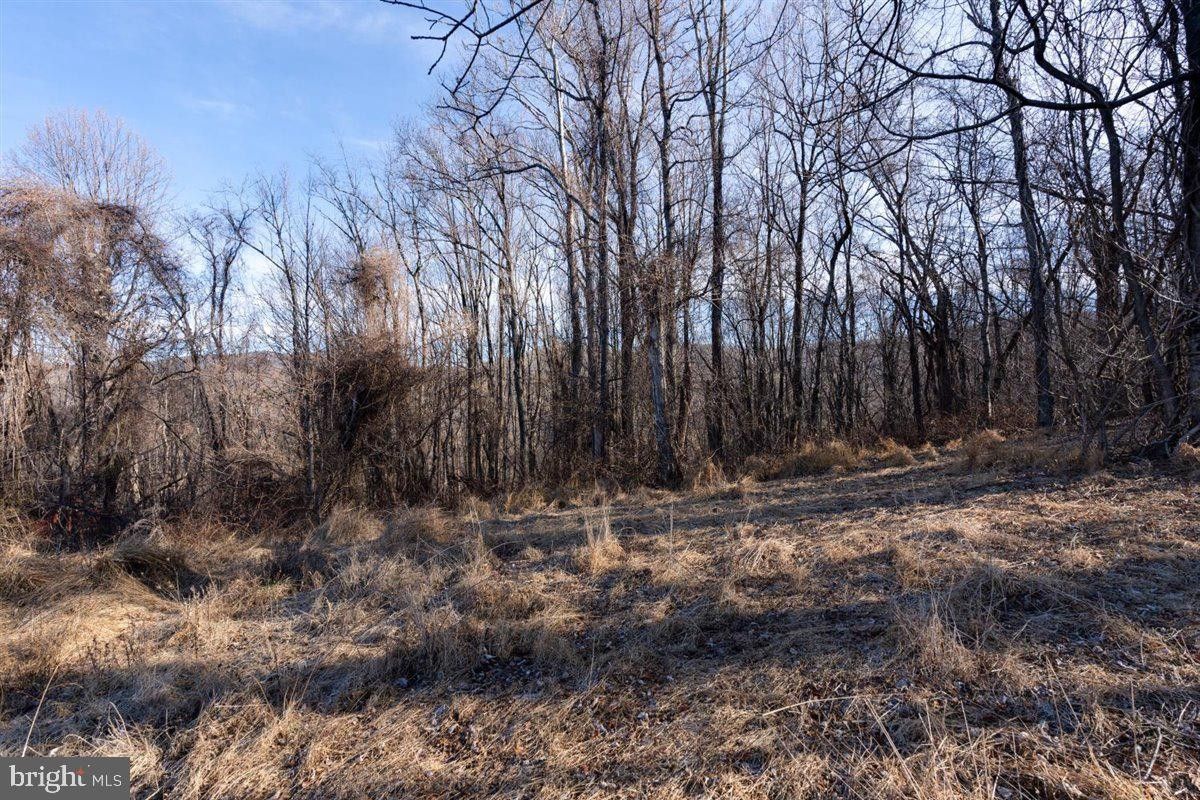 Elkton, Page County, VA Farms and Ranches, Homesites for sale Property