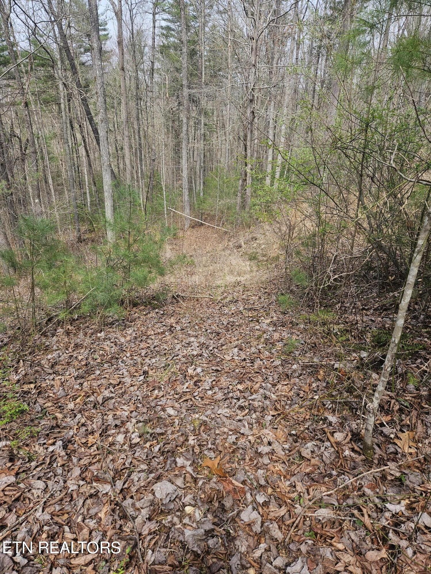 Lancing, County, TN Undeveloped Land, Homesites for sale