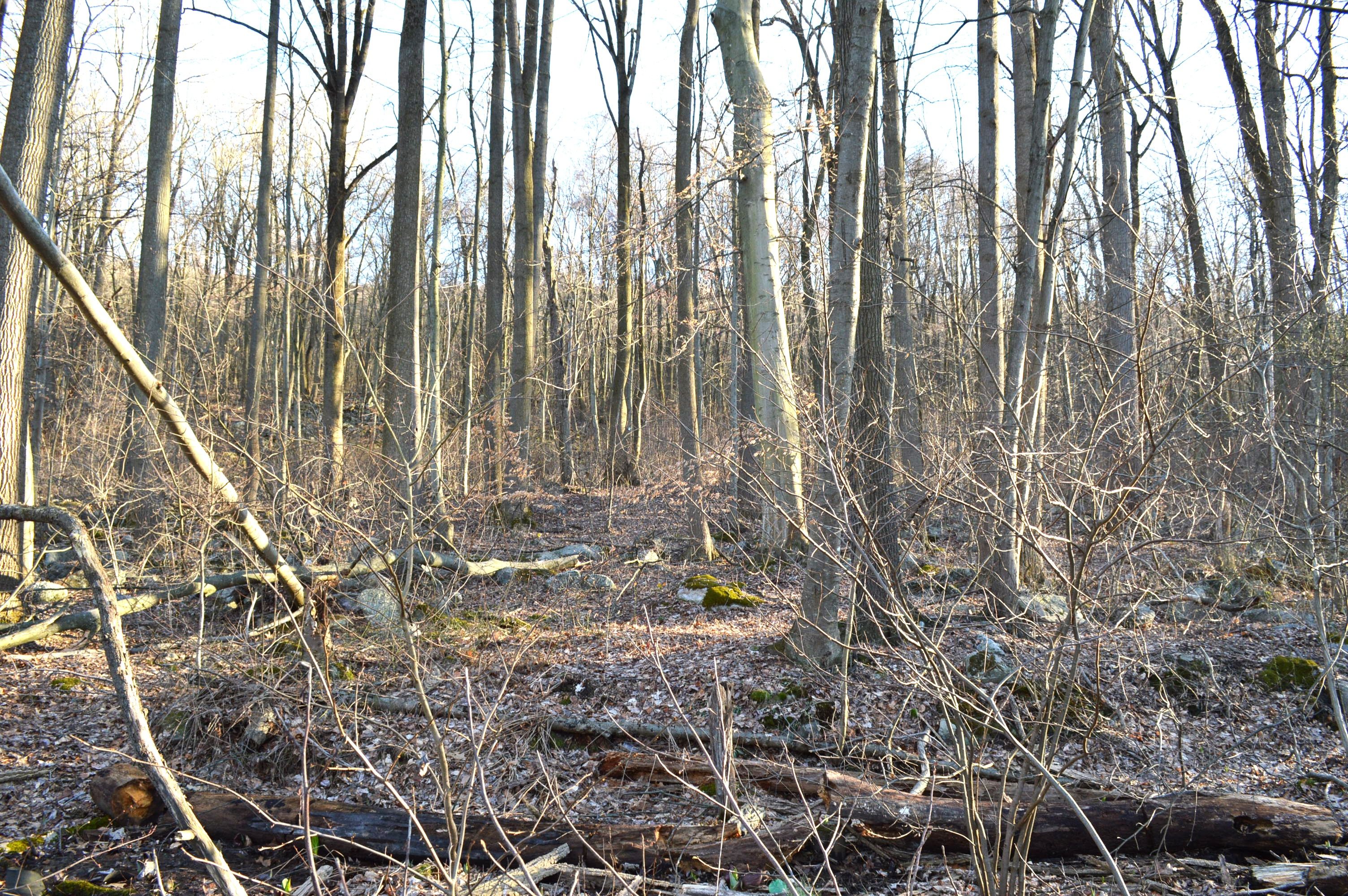 0 State Road, Duncannon, PA 17020 MLS PAPY2003926 LandWatch