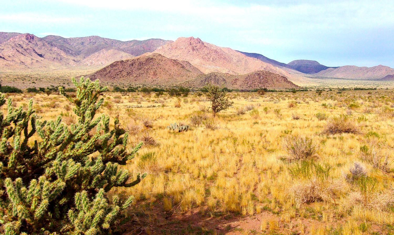 Hackberry, Mohave County, AZ Recreational Property, Undeveloped Land