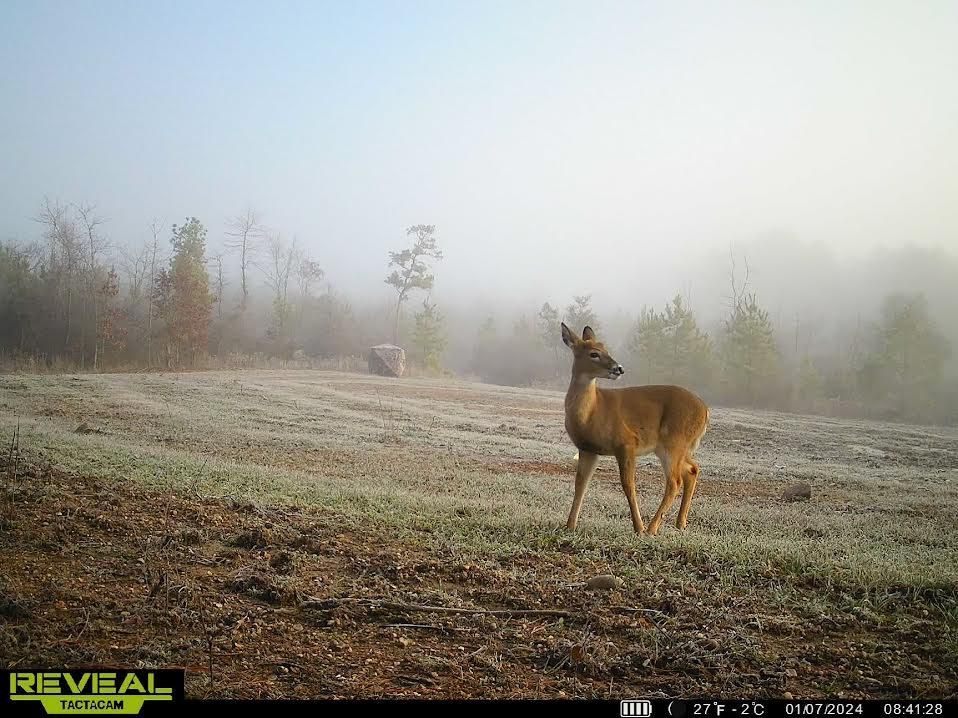 Lockesburg, Sevier County, AR Farms and Ranches, Recreational Property