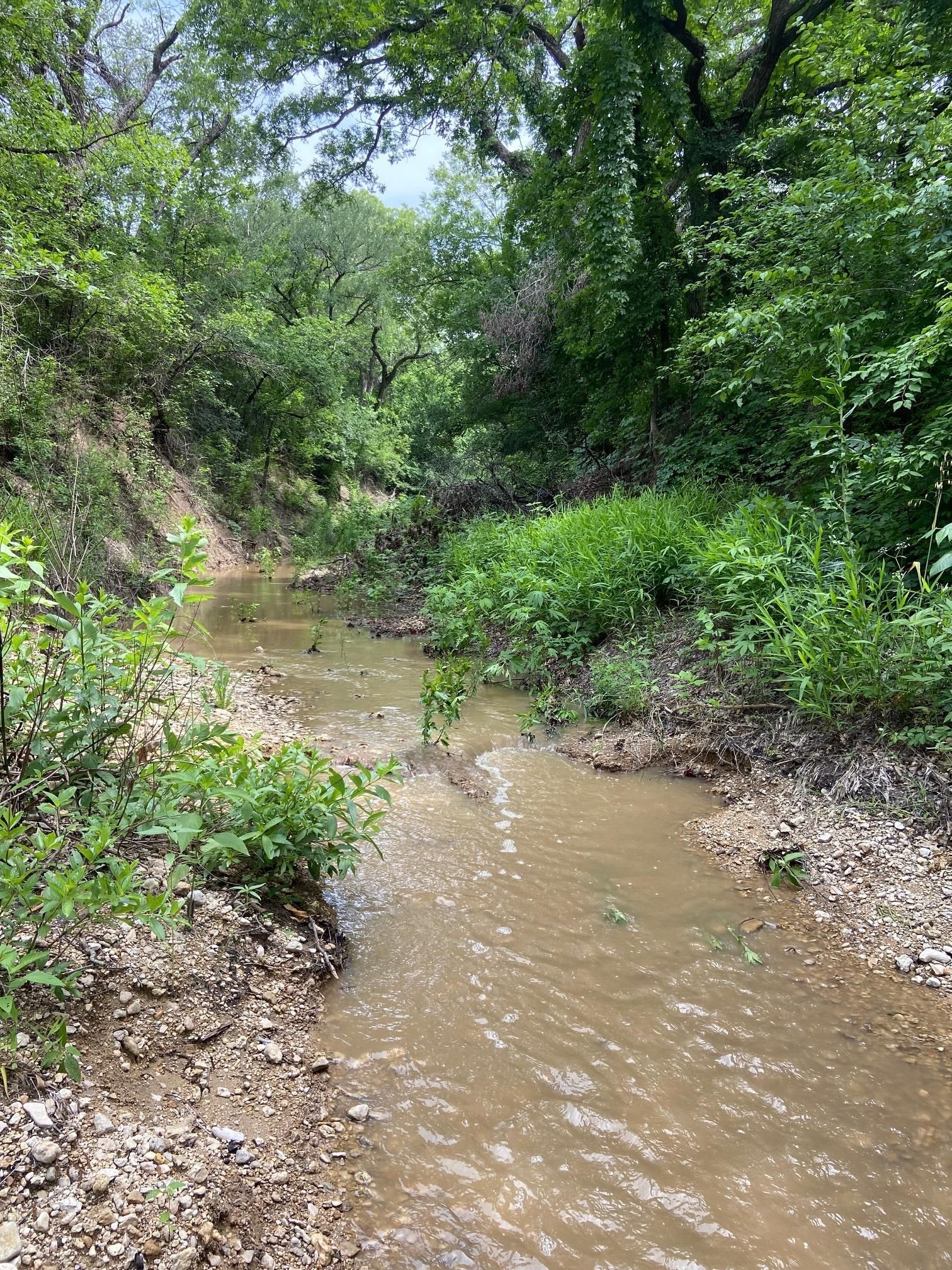 7391 FM 1476, Gustine, TX 76455 MLS 20566626 LandWatch