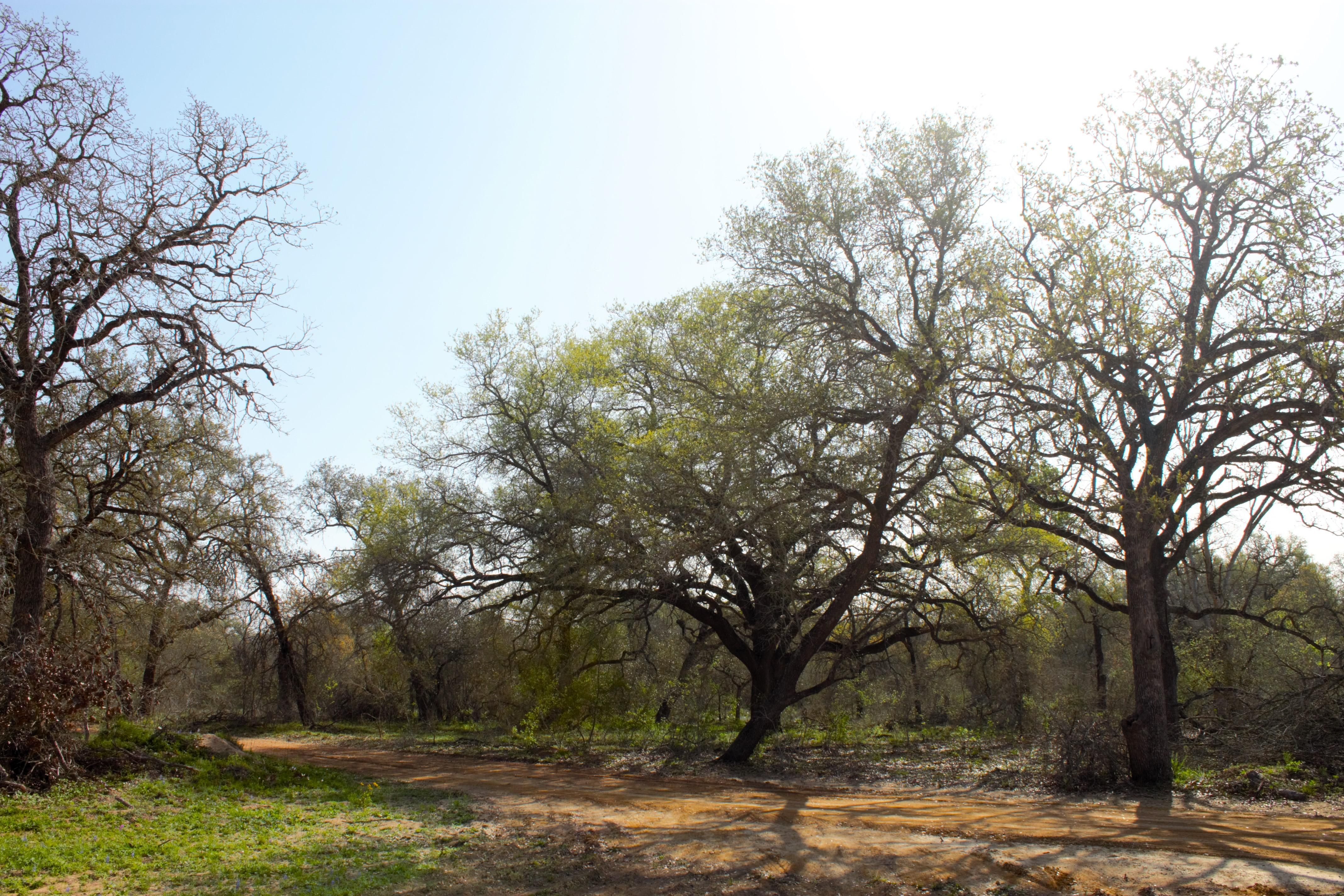 5.64 acres in Somerset, TX, 78069 MLS 1761123 LandWatch