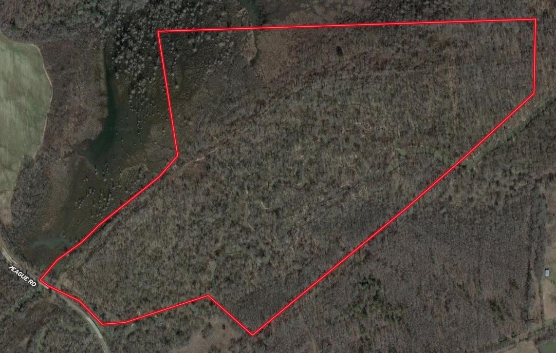 000 TEAGUE, Medon, TN 38356 MLS 10167761 LandWatch