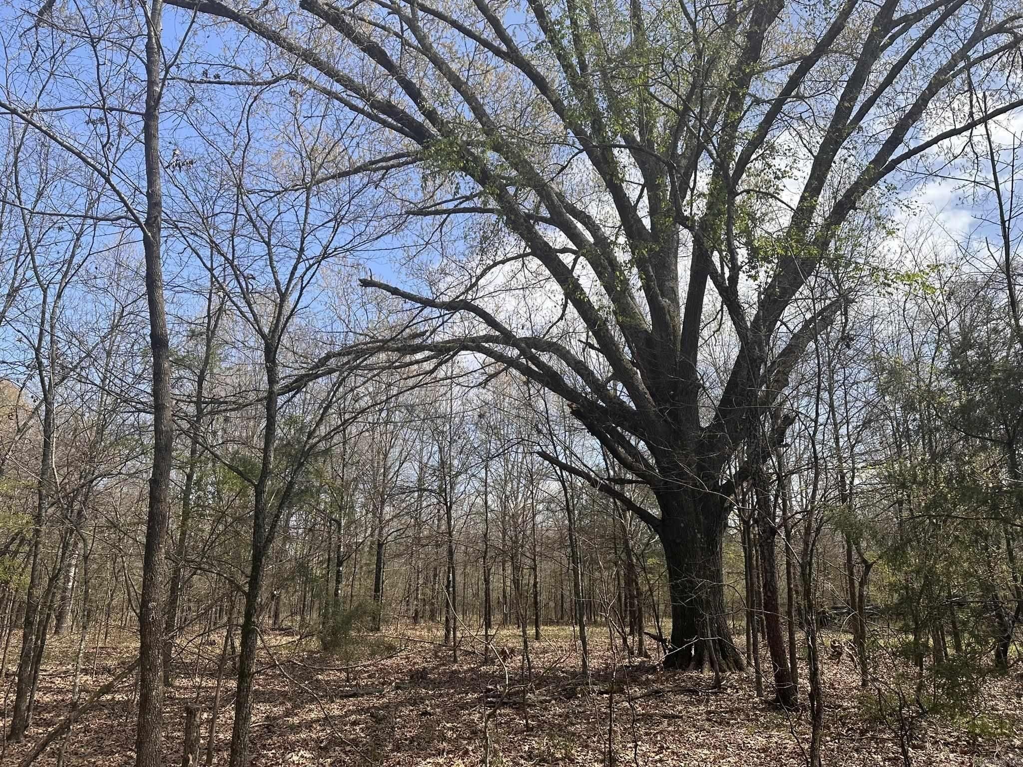 De Valls Bluff, Prairie County, AR Undeveloped Land for sale Property