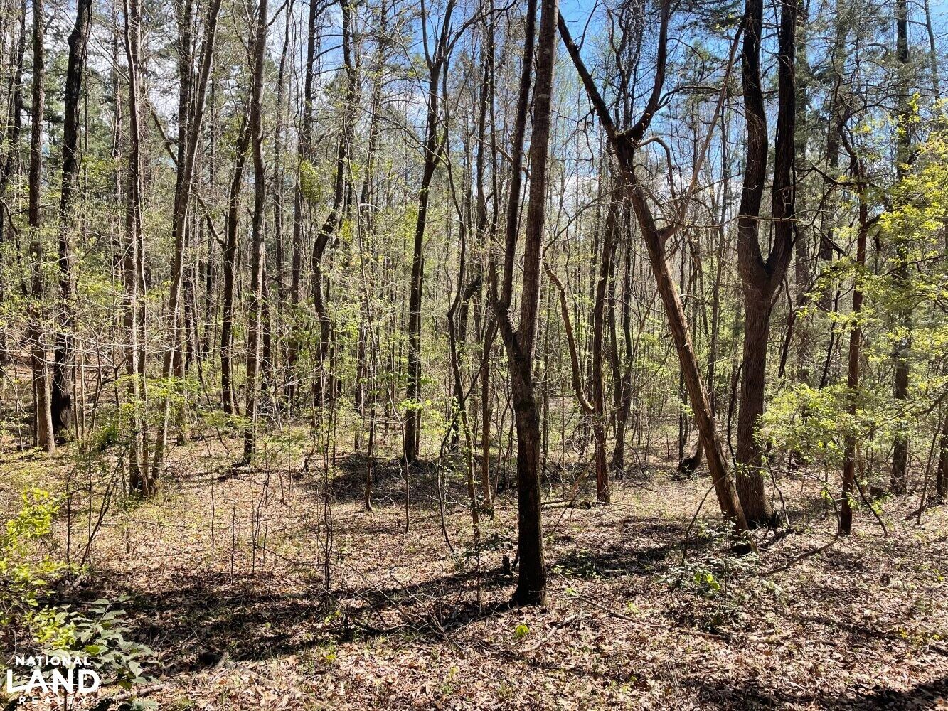 Coffeeville, Yalobusha County, MS Recreational Property, Timberland