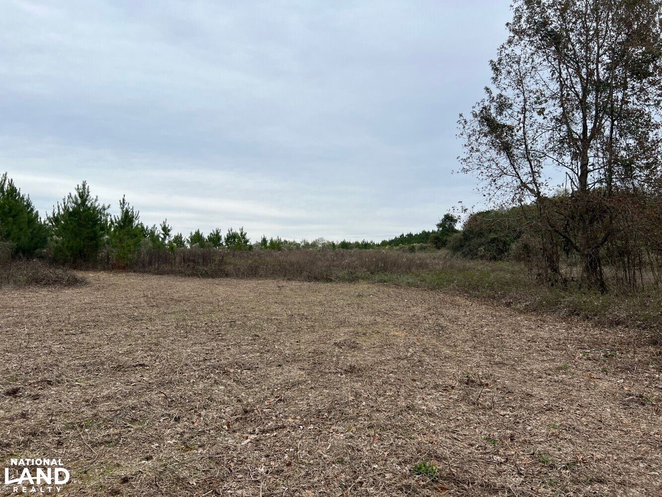 Clayton, Barbour County, AL Farms and Ranches, Recreational Property, Hunting Property for sale