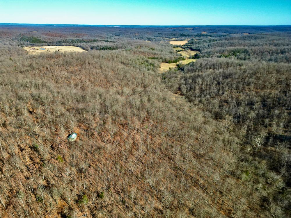 TBD Upper Janes Creek Rd, Ravenden Springs, AR 72404 MLS Randolph 93