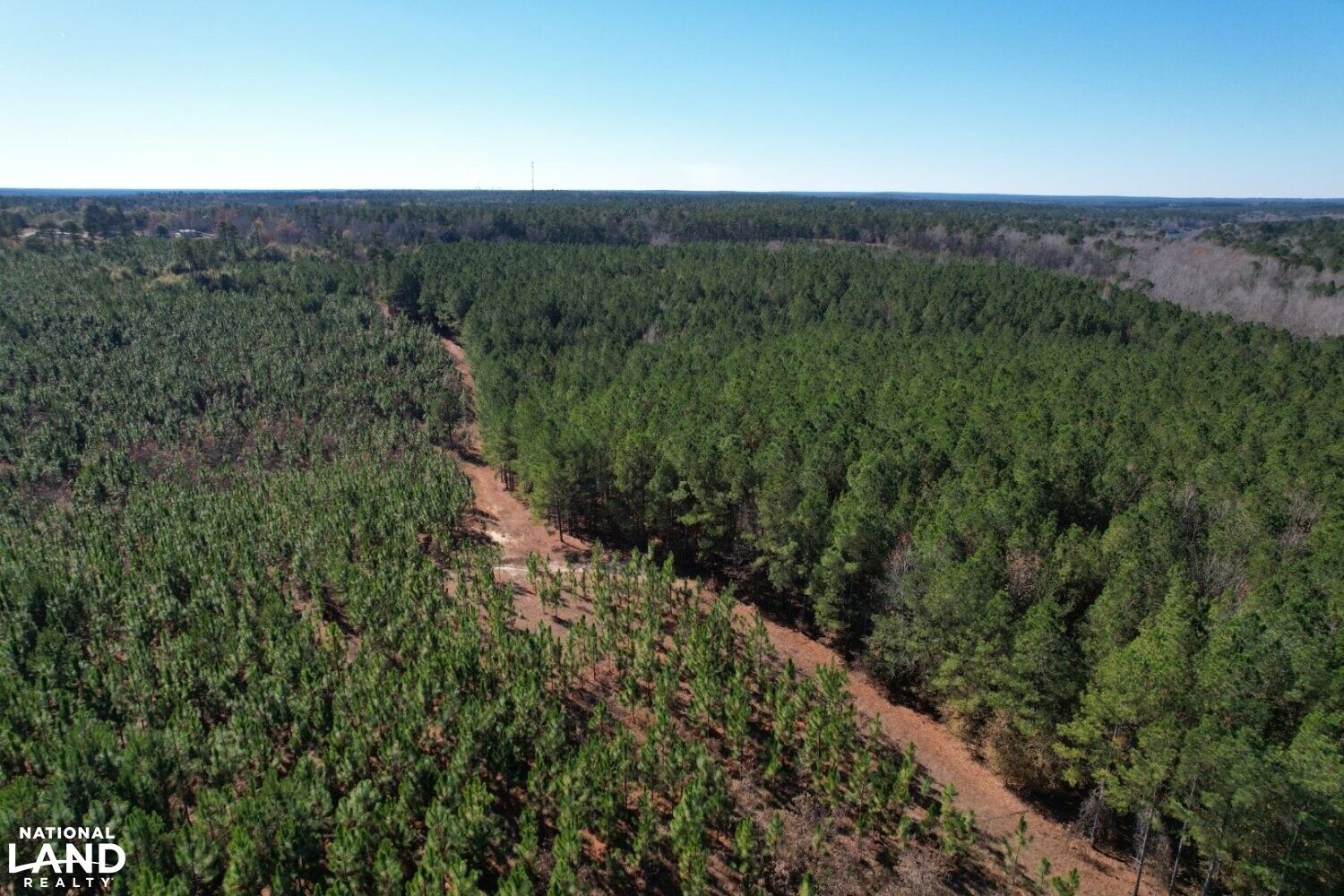 Windsor, Aiken County, SC Undeveloped Land, Commercial Property, Horse