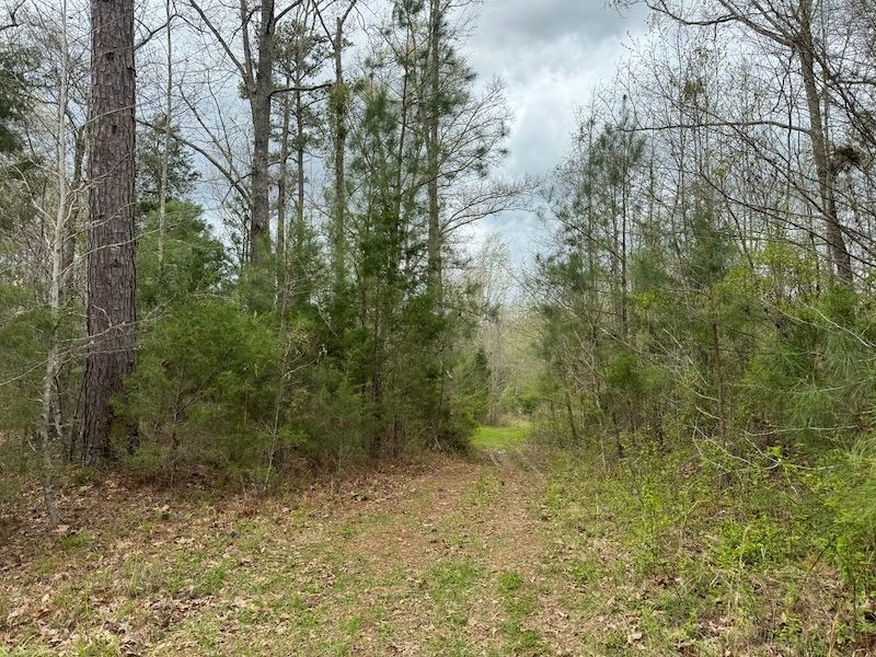 Hermanville, Claiborne County, MS Recreational Property, Timberland