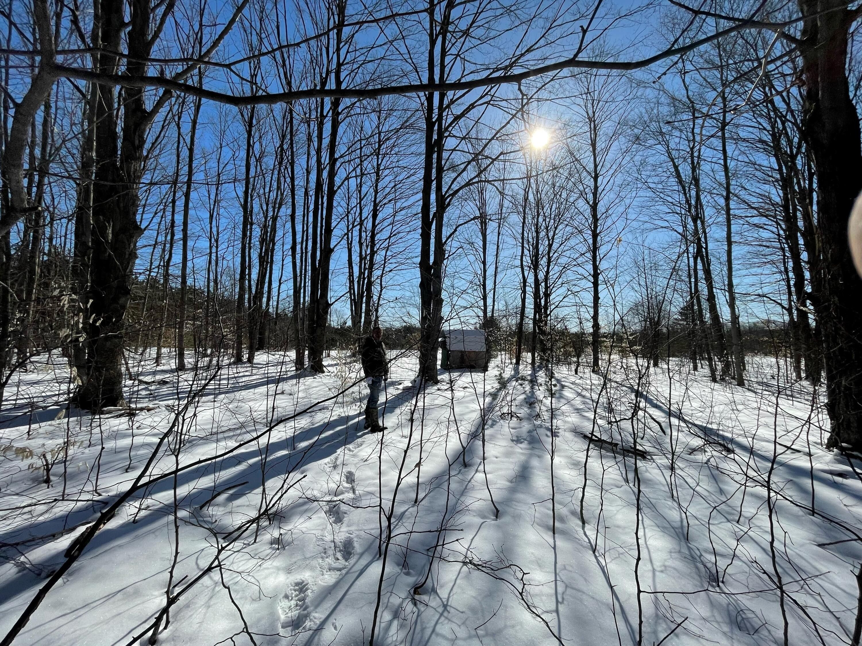 Kalkaska, Kalkaska County, MI Undeveloped Land for sale Property ID