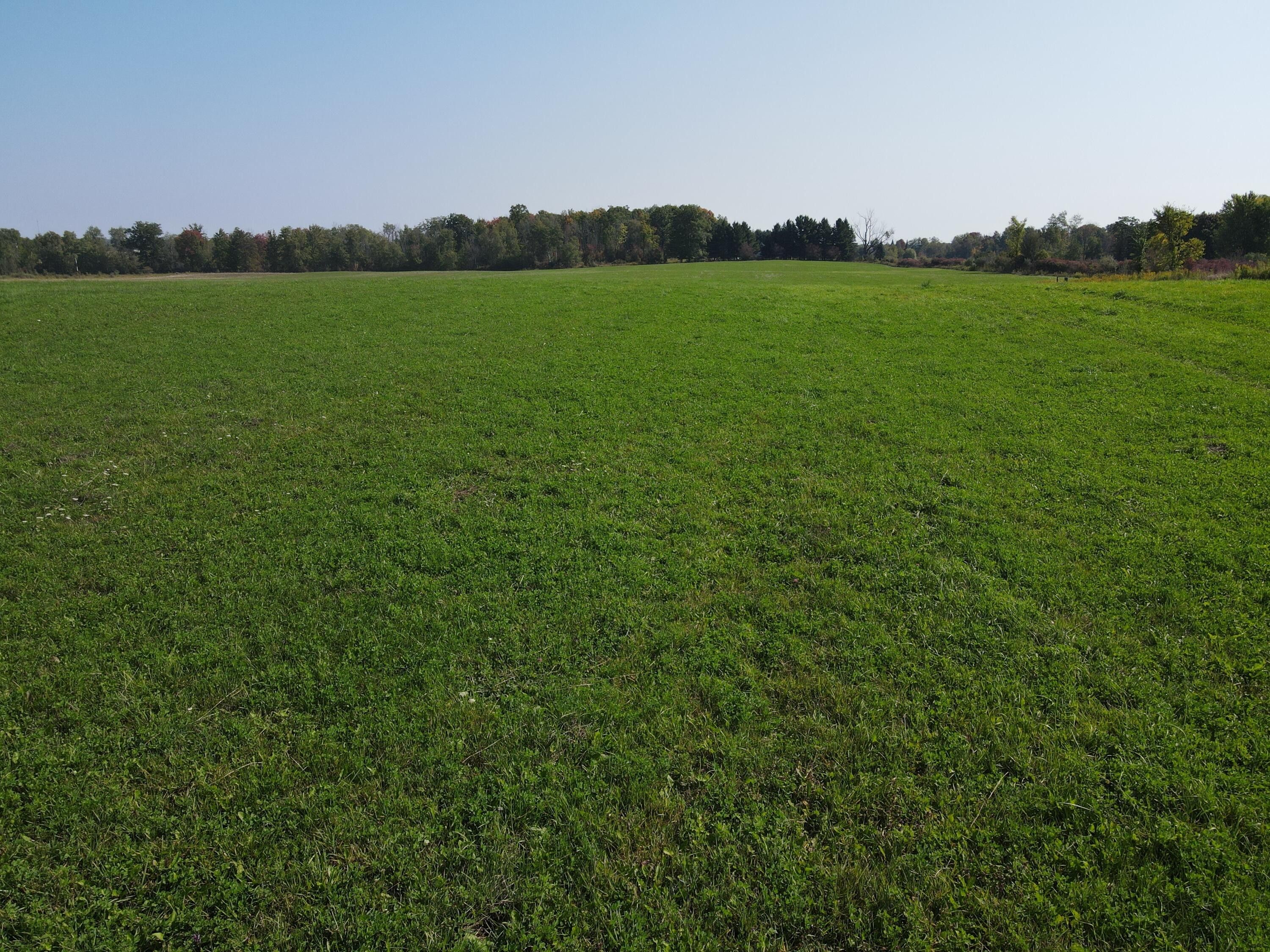 Marion, Osceola County, MI Undeveloped Land for sale Property ID