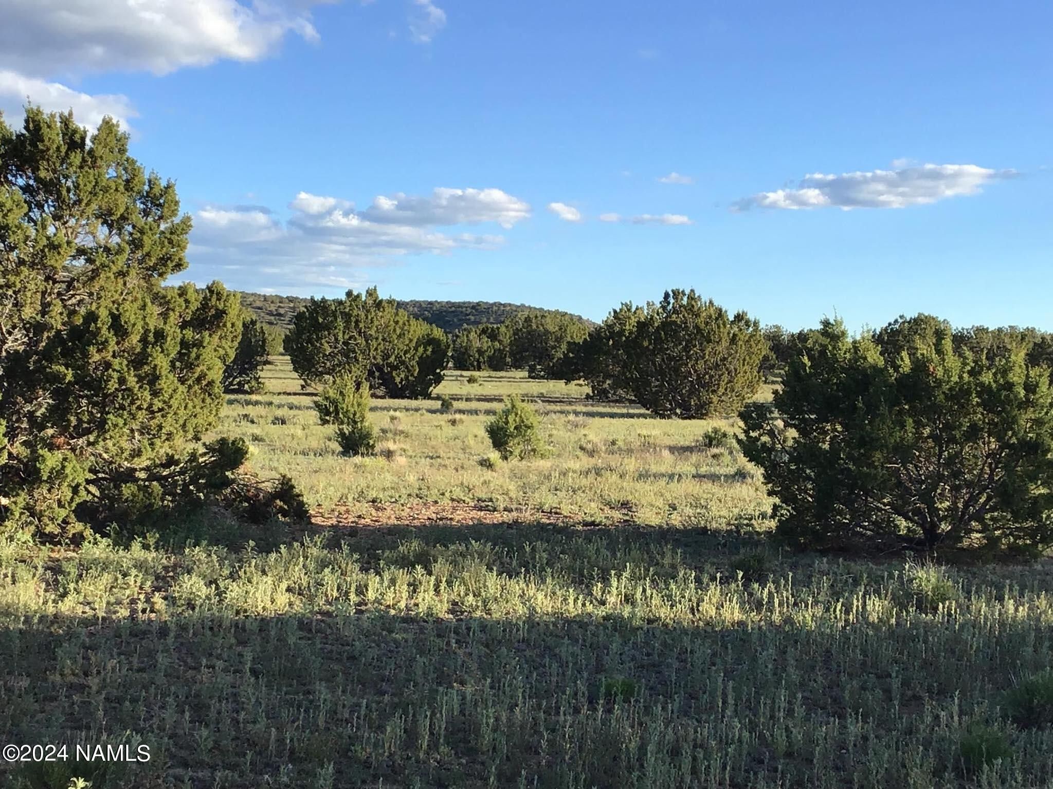 Williams, Coconino County, AZ Undeveloped Land for sale Property ID 419260708 LandWatch