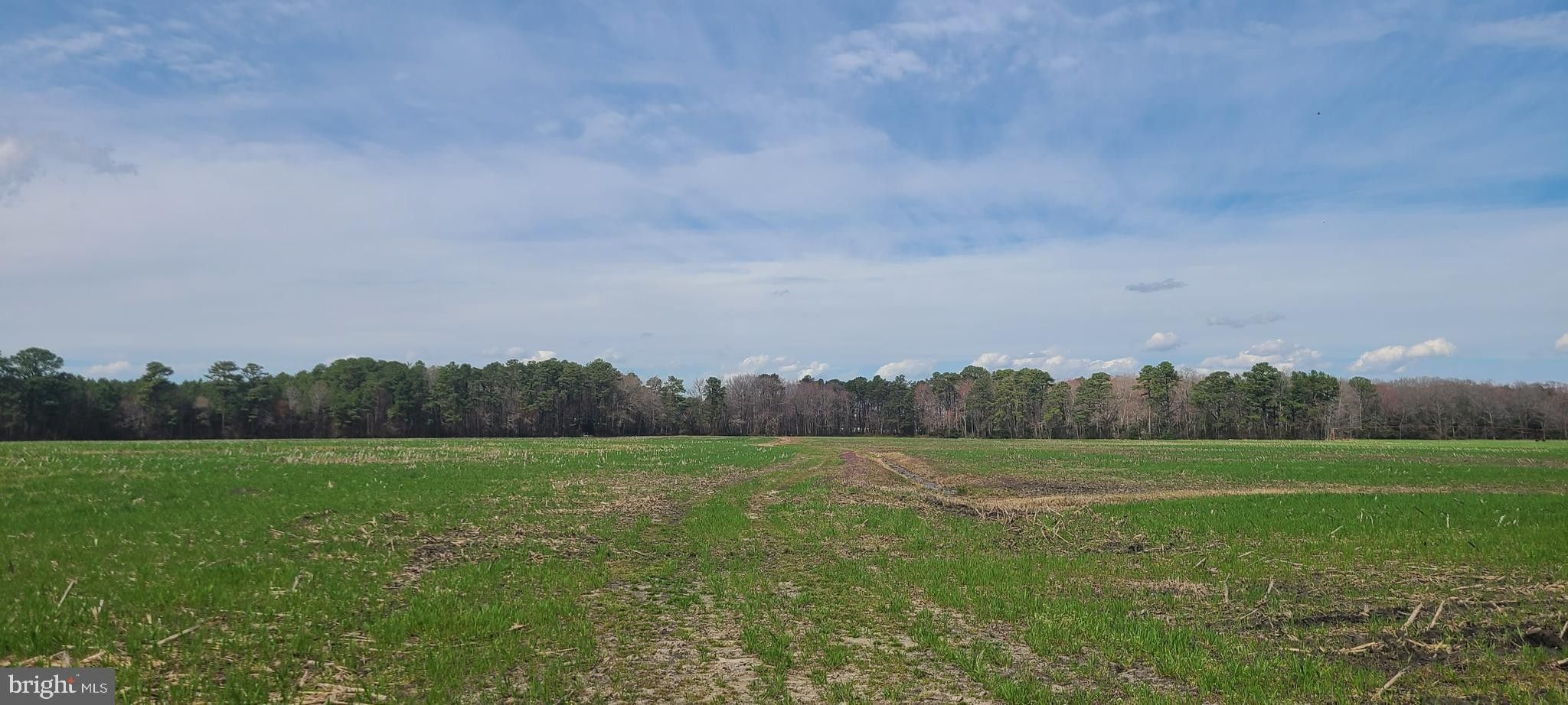 Whaleyville, Worcester County, MD Undeveloped Land for sale Property ID