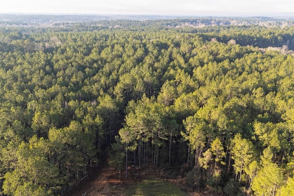 000 Lin Frank Line SW, Mccall Creek, MS 39647 MLS 140792 LandWatch