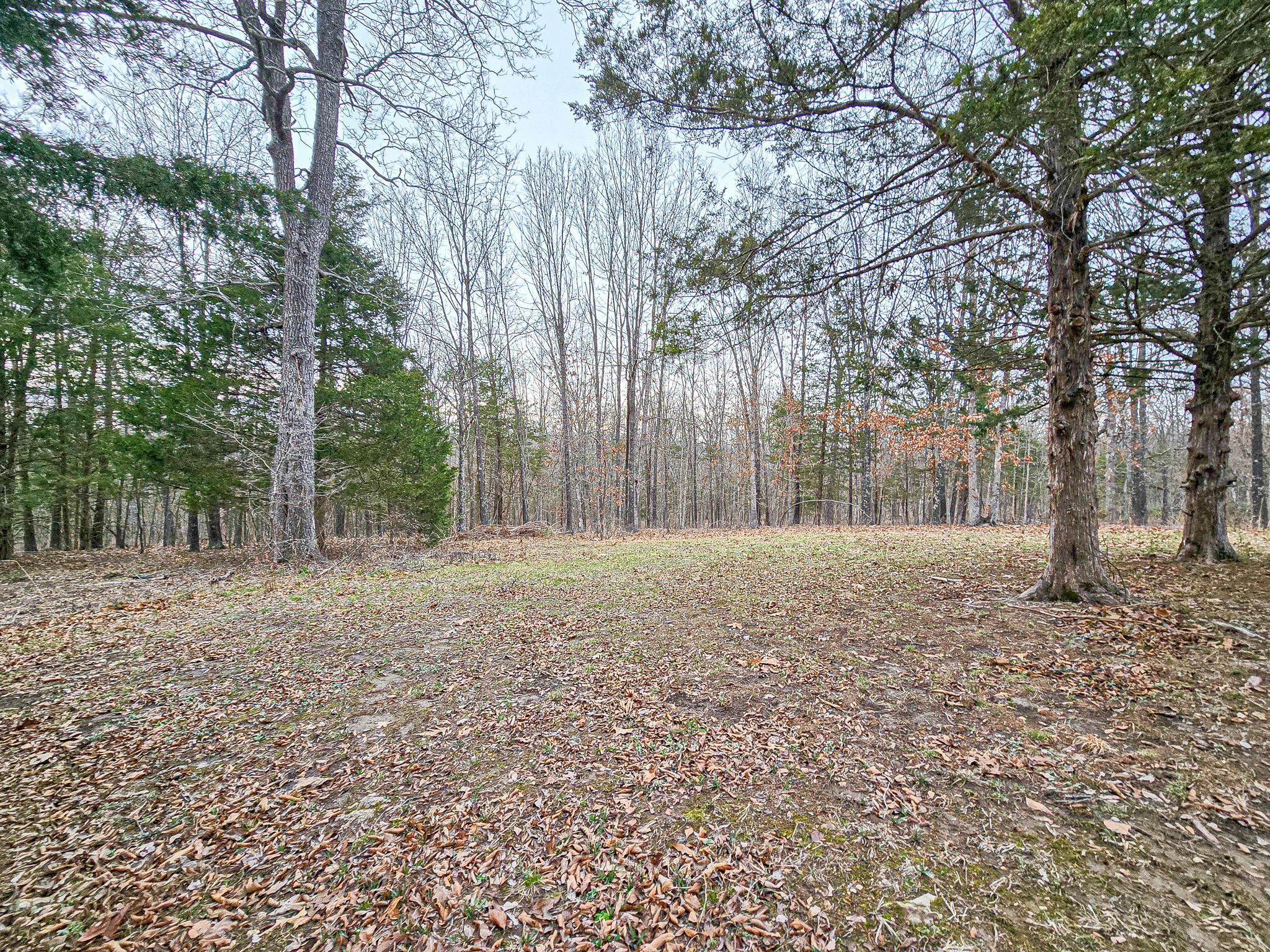 Cedar Lane, Urbana, MO 65767 MLS 60263356 LandWatch