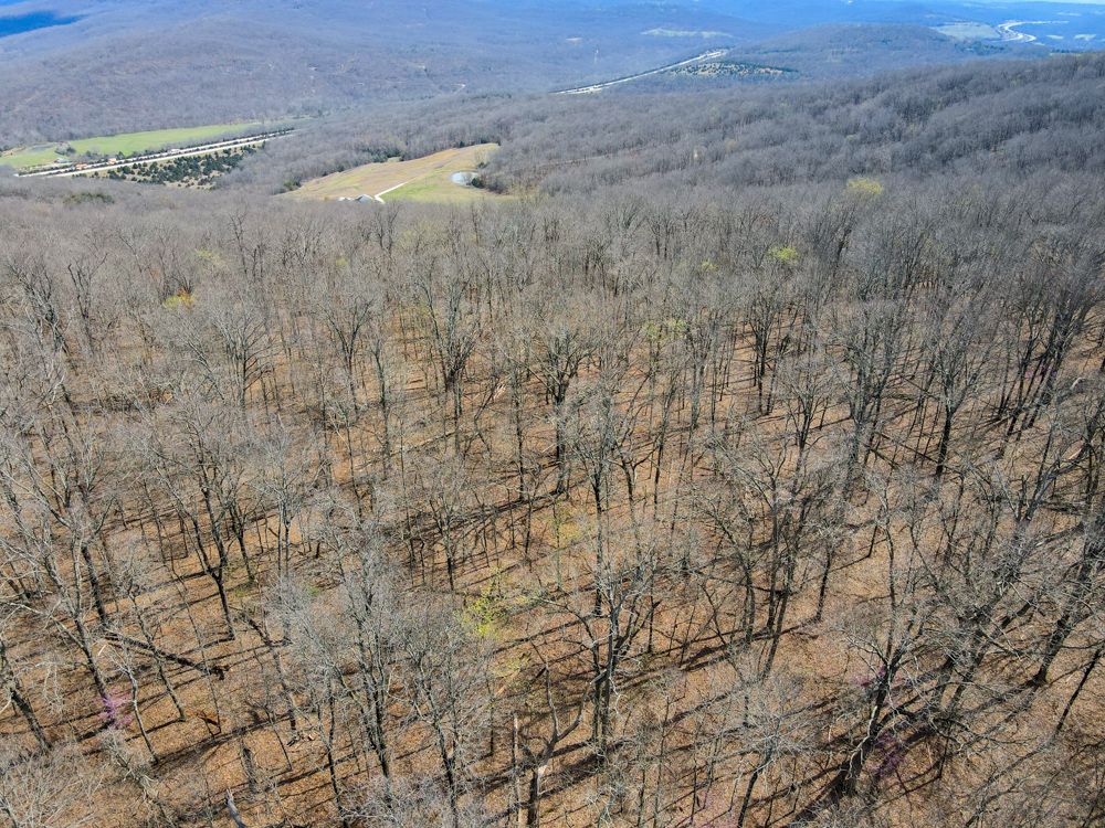 000 Hyde Rd, Winslow, AR 72959 MLS Washington 40 LandWatch