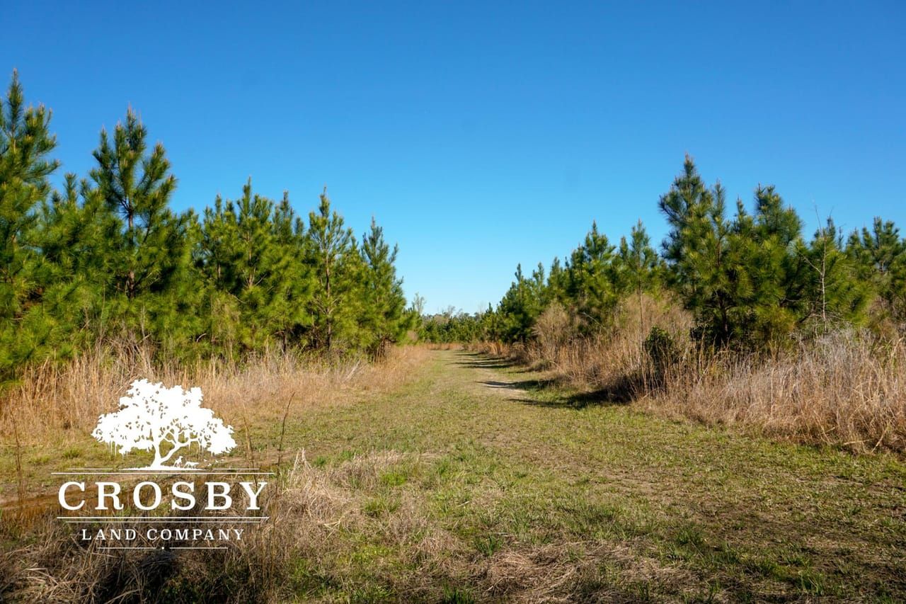 72 acres in Ruffin, SC, 29475 LandWatch
