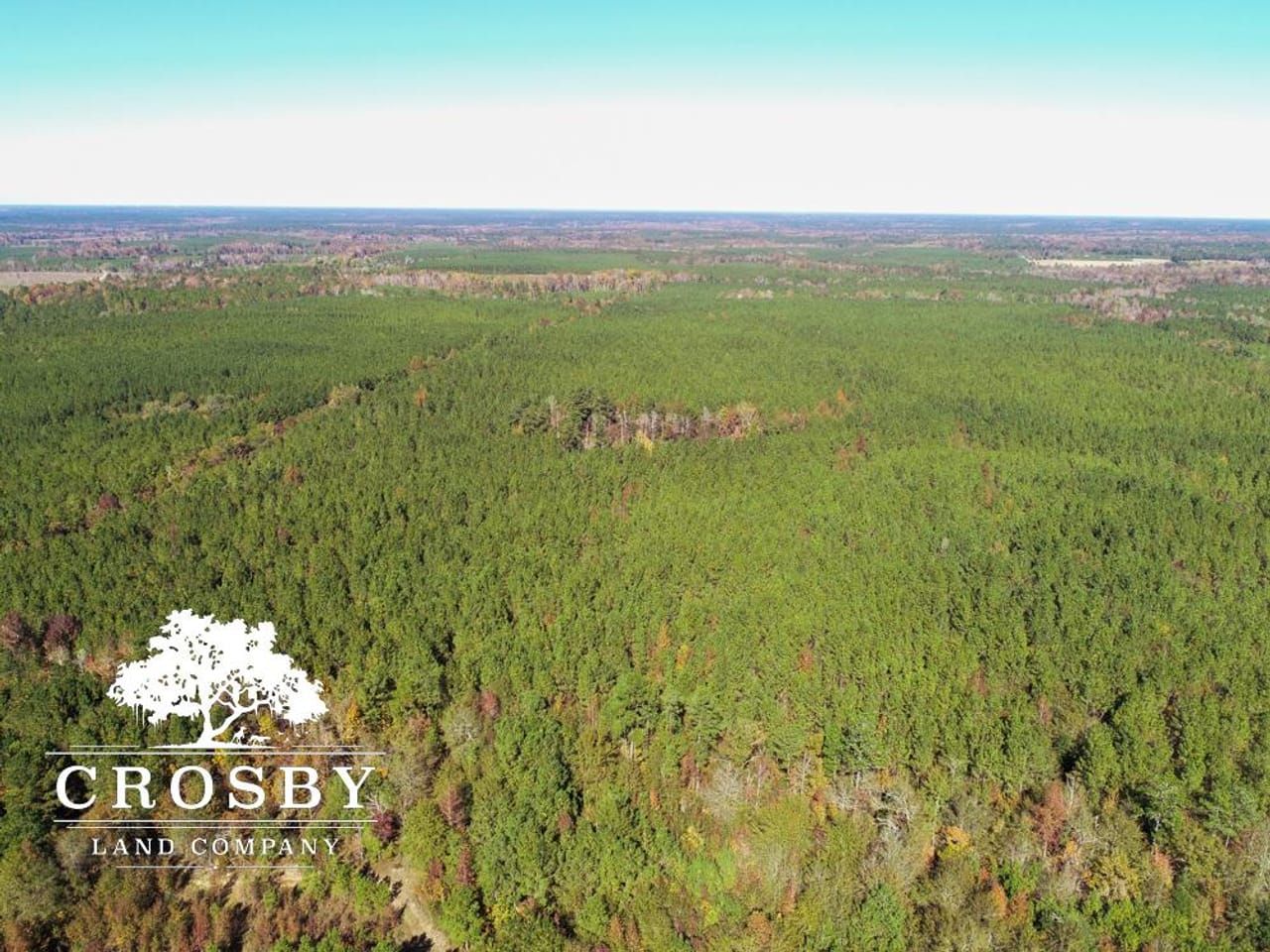 163.6 acres in Allendale, SC, 29810 LandWatch