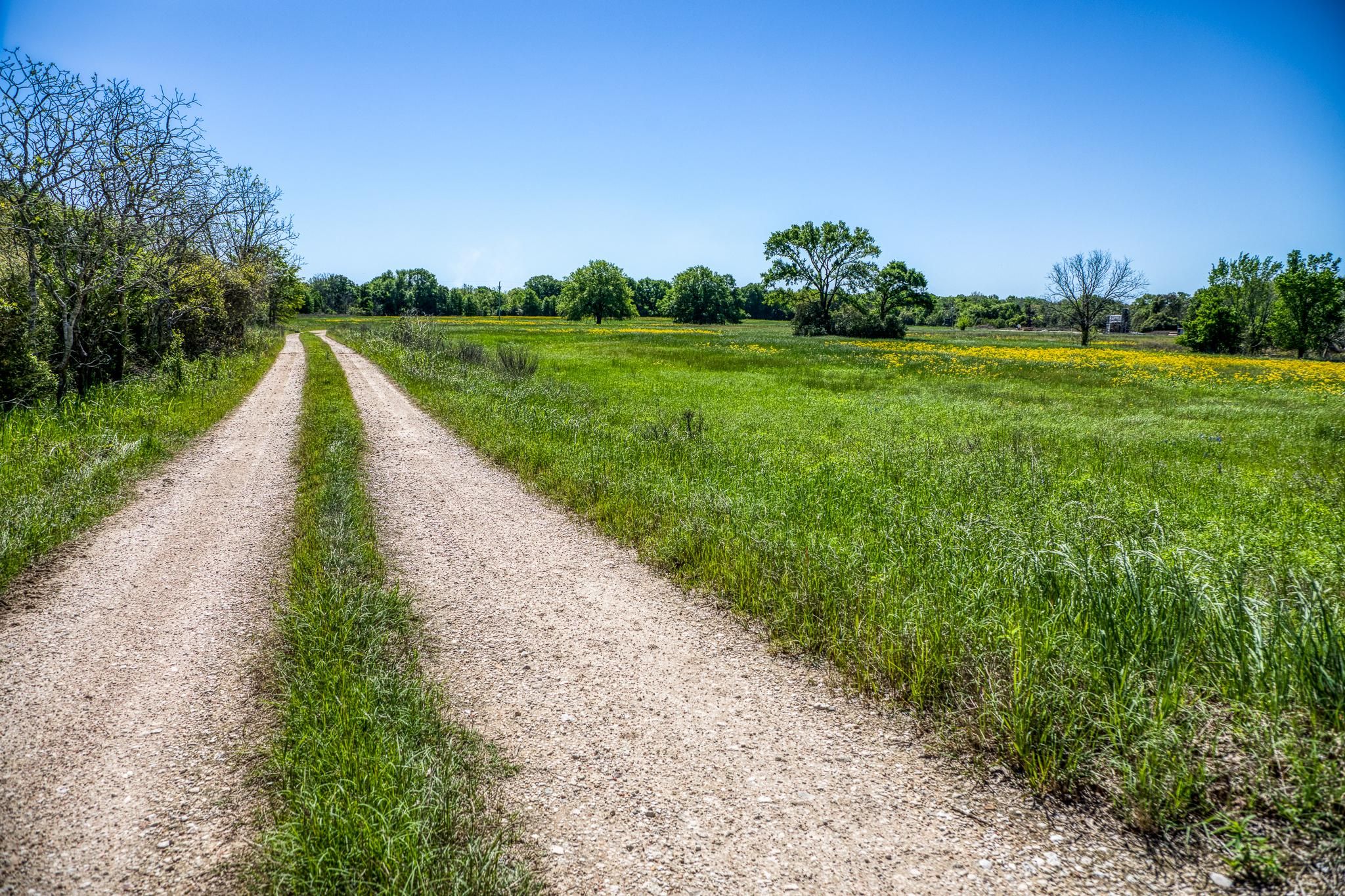 4448 County Road 430, Dime Box, TX 77853 LandWatch