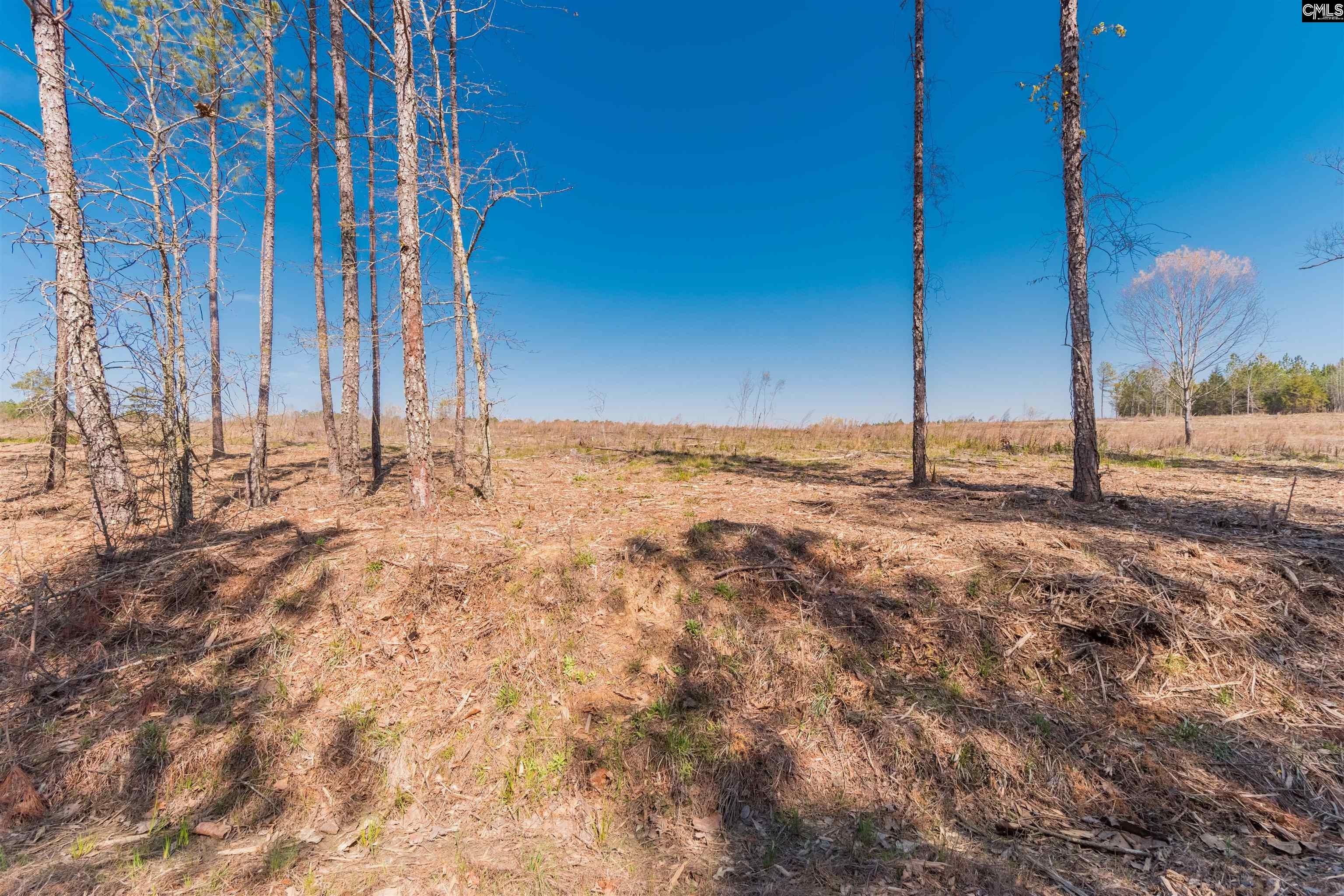 Batesburg, Saluda County, SC Undeveloped Land for sale Property ID 419274871 LandWatch