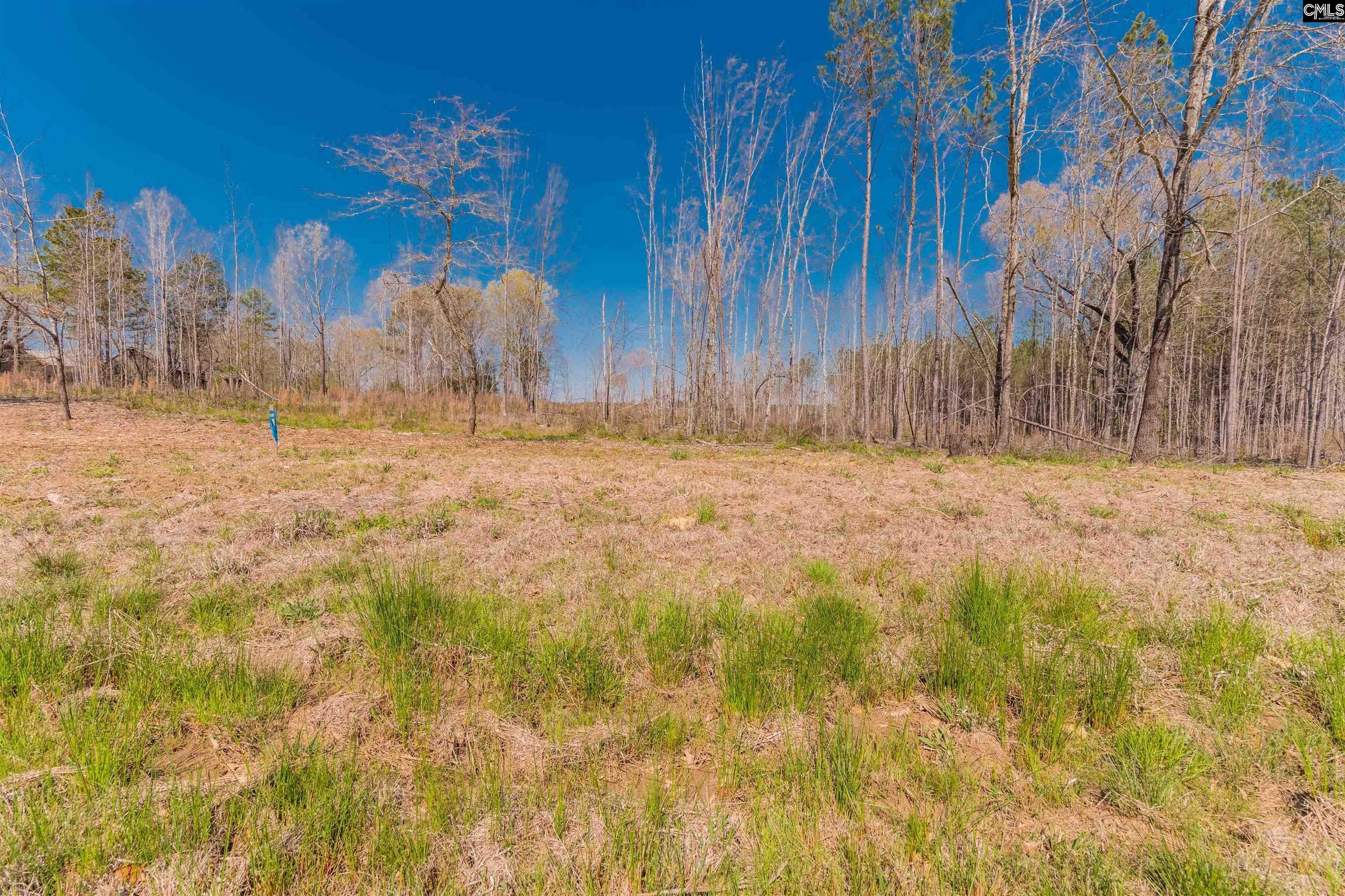 Batesburg, Saluda County, SC Undeveloped Land for sale Property ID