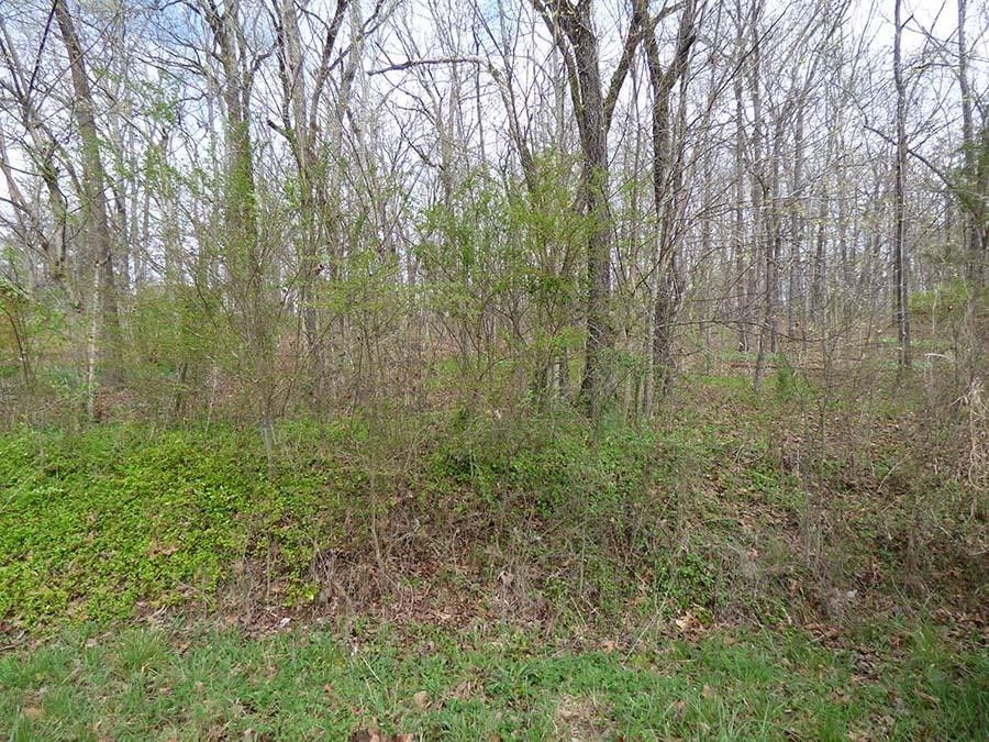 Cherokee Village, Sharp County, AR Undeveloped Land, Lakefront Property
