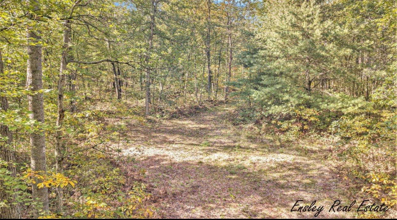 Newaygo, Newaygo County, MI Undeveloped Land for sale Property ID