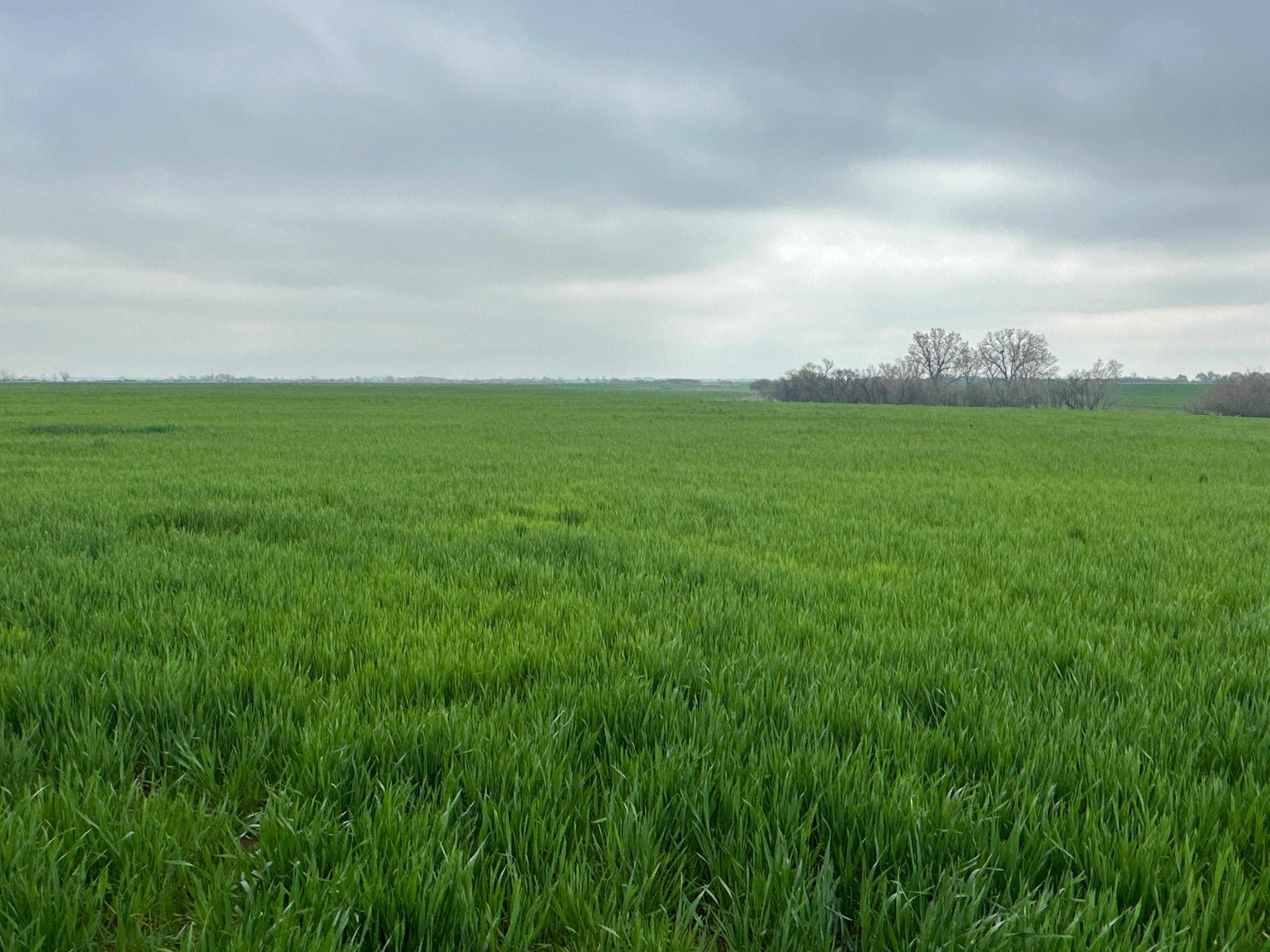 233 acres in Geary, OK, 73040 LandWatch