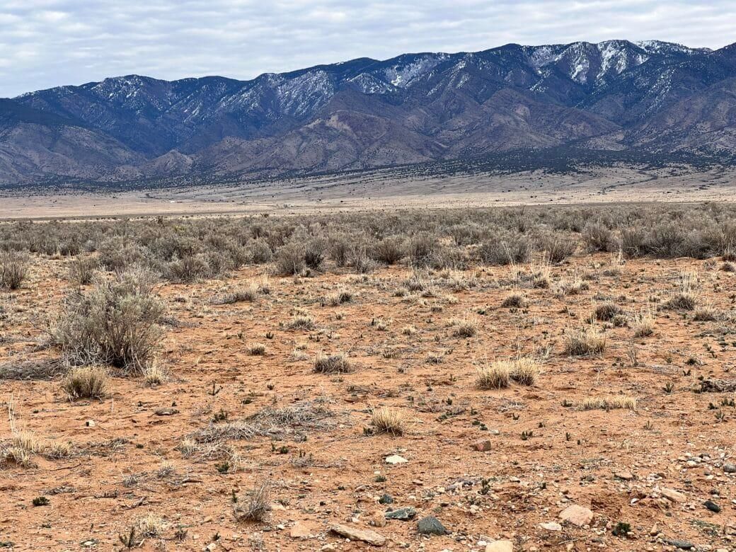 Belen, Valencia County, NM for sale Property ID 419277967 LandWatch