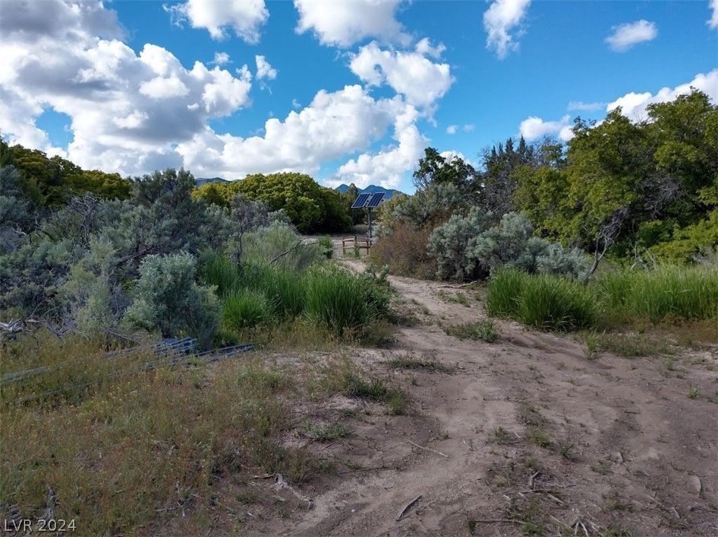 Springs, Pioche, NV 89043 MLS 2570851 LandWatch