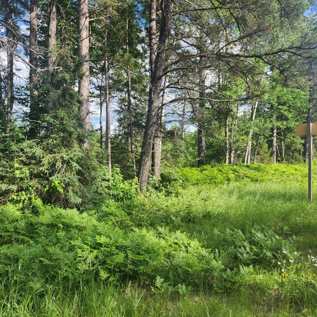Conover, Vilas County, WI Undeveloped Land for sale Property ID