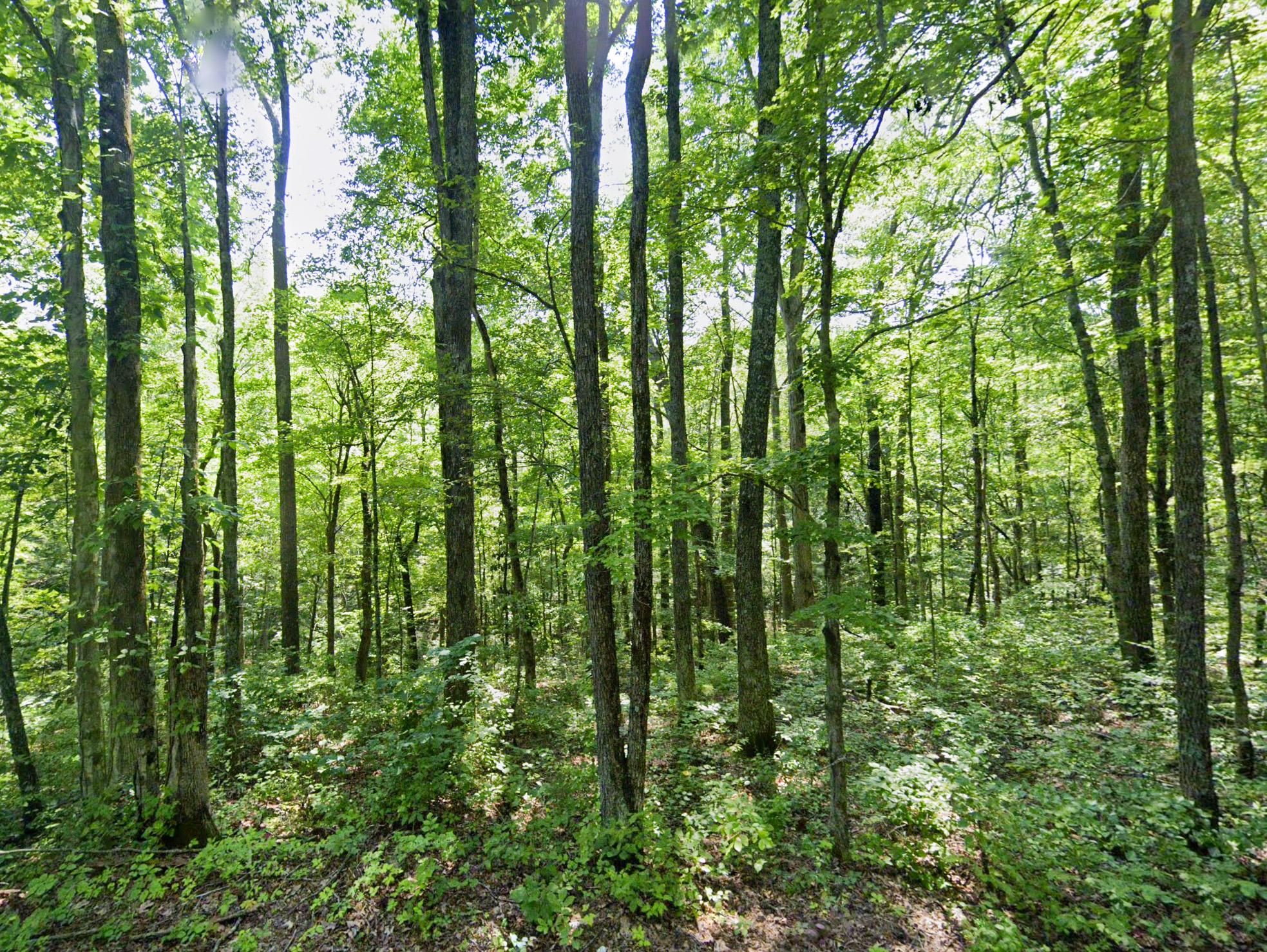 5845 Turkey Creek Rd, Waverly, TN 37185 LandWatch