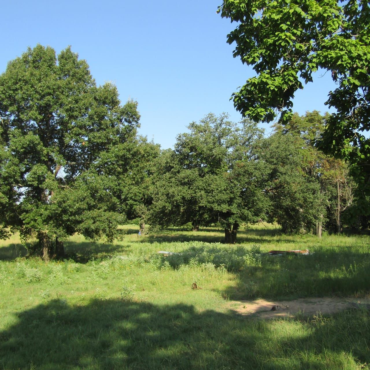 E 2090 Road Rolling Hill Ranches Phase 2, Hugo, OK 74743 LandWatch