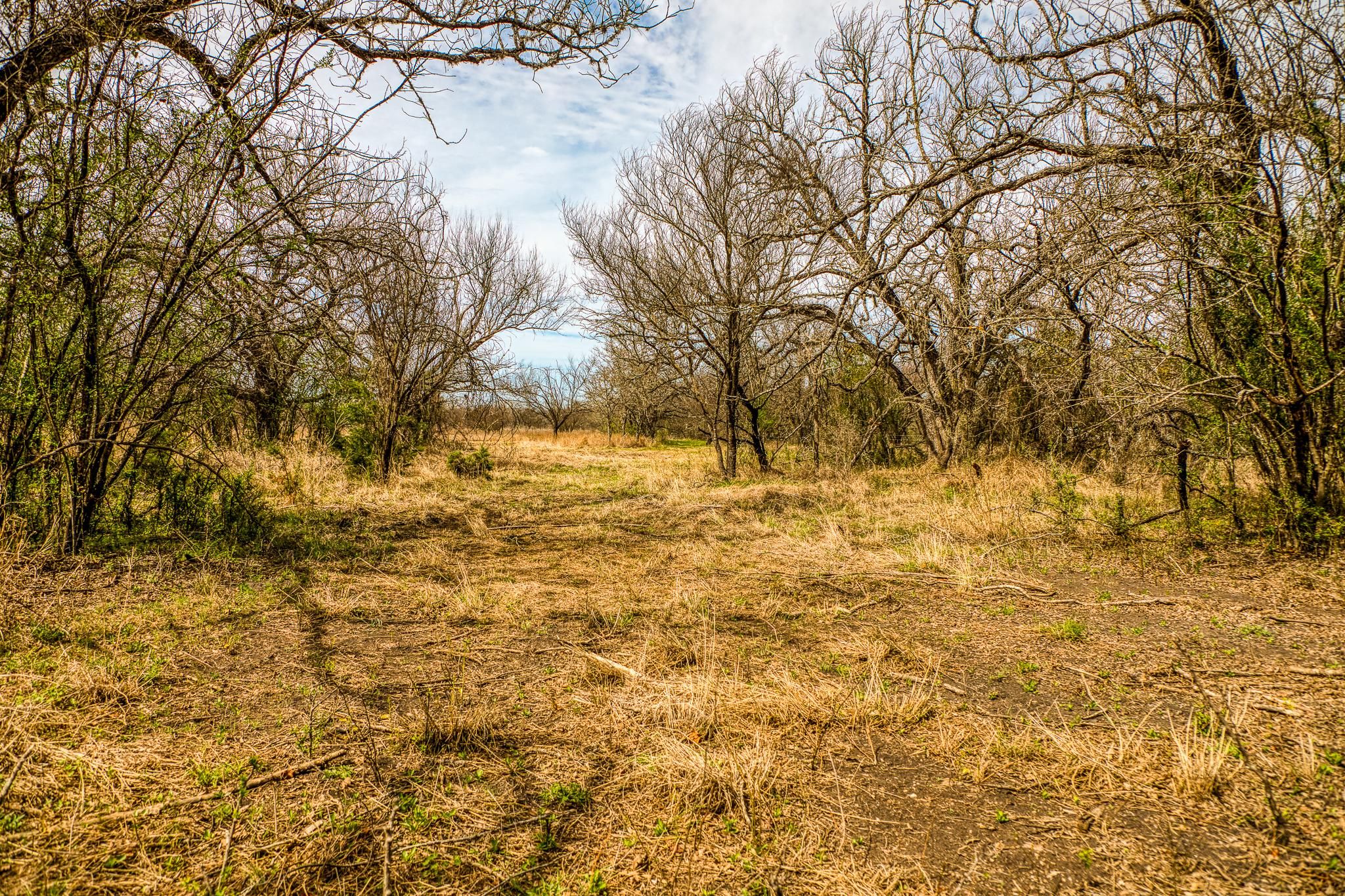 25 acres in Utopia, TX, 78884 LandWatch